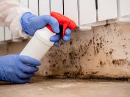 Mold Remediation for Rental Properties in Ste Genevieve, MO